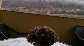 Vila Poienița Căciulata - Image 3
