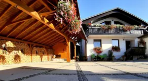 Garden Apartments Janša - Image 3