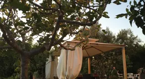 B&B Villa Magna Grecia - Image 5