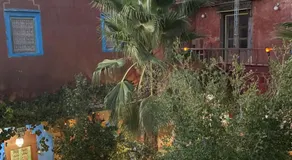 Riad Dades Birds - Image 4