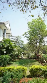 Treetop villa with jacuzzi Pure Veg - Image 3