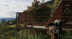 Mamaterra Glamping - Image 4