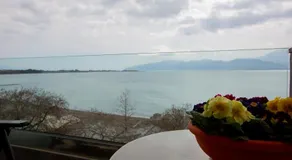 goldenbeach - Image 3