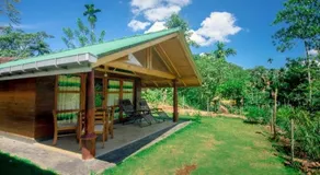 360 Rainforest - Image 3