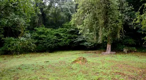 Ladywood House Bed and Breakfast - Image 4