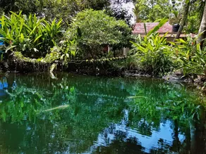 Marari Bethsaida Homestay - Image 3