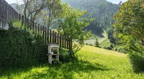 Unterlacherhof Ahrntal - Image 4