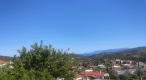 Rising Sun Guesthouse - Image 5