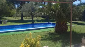 Les acacias - Image 5