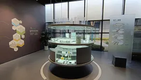 Caiyuan Hotel (Xiong'an New Area Rongcheng Baiyangdian High-speed Railway Station Branch) - Image 4