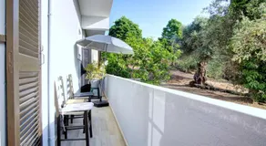 Maielia acharavi - Image 3