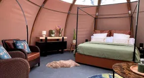 La cabane de peau d'ane - Image 2