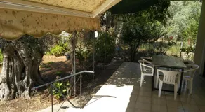 Lefkas house with garden - Image 3
