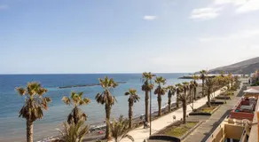 Las Palmeras - Image 4