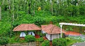 Jungle Greens Homestay - 150Y Old Coffee Estate, Home Food, Jungle Safari - Image 5