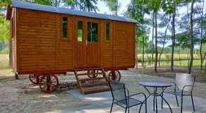 Alpacacamp - Image 5