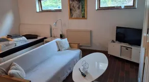 Lille bolig med egen indgang - Image 2