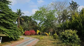 Bridge Point Home Stay - Image 5