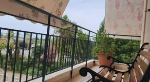 Gik Houses - Image 3