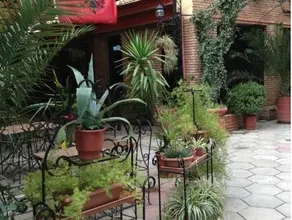 Hotel Livia - Image 4