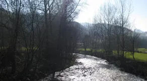 Pensión Susierra - Image 4