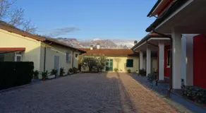 Merlo d'Oro - Image 4