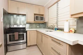 New Kingston Guest Apt at Dorchester - Image 5