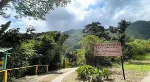Las Tangaras Reserve - Image 3