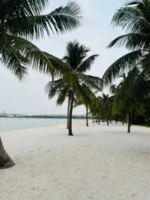 Homestay Nhà Thu Thu Vinhome Ocean Park Hà Nội - Image 5
