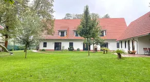 Holzfäller Baum 2 - Image 5