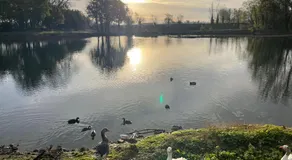 L Escale du lac - Image 5