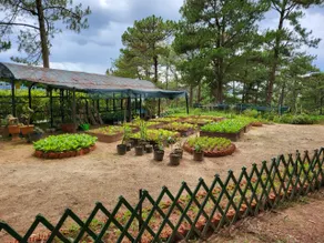 FULL MOON FARMS VILLA - Image 4