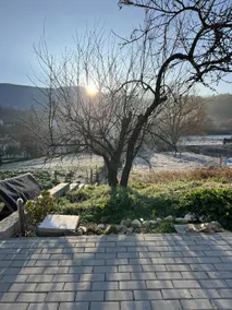 Quinta do Lameiro Maceira - Image 5