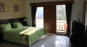 De Hill Villa - Image 2