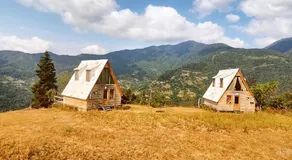 GREEN GUNDAURI - Image 3