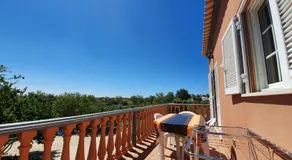 Quinta das Nespereiras - Image 3