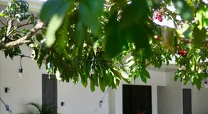MOMA Guest House en Alto Boquete - Image 5