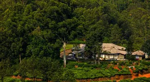 Lockhart Bungalow Munnar - A CGH Earth SAHA Experience - Image 5