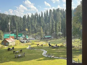 Pine Palace Resorts Gulmarg - Image 5