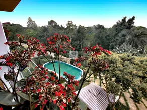 Lavender Homestay - Image 2