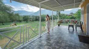 The Wild Fo'rest Resorts - Image 4