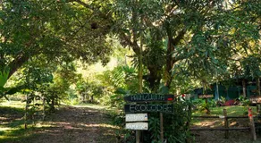 Amazonita Ecolodge - Image 5