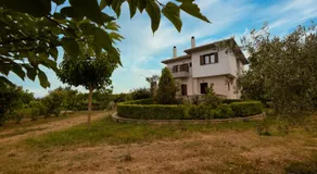Olive View Cottage in Pelion - Image 5