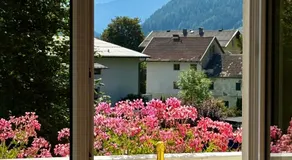 AH Carinthia Mallnitz - Carinthia Appartements - Image 4