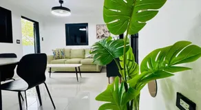 Brand New Luxe Apartment 1 - Image 4