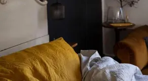 Luxury river cottage, gateway to the East Coast - Image 4