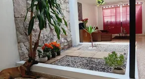 Casa Luna, habitación compartida cerca del zoo - Image 3