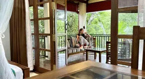 Jungle Paradise - Image 3