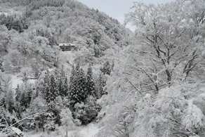 Sakamaki Onsen Kawatsuya - Image 3