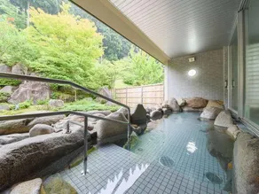 Higashiyama Onsen Maple Plaza - Image 4